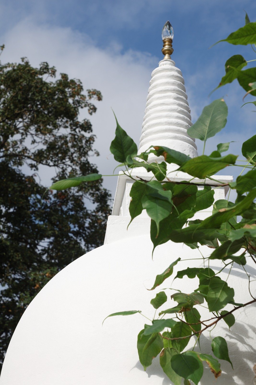 The Vihara's stupa, its spire rising through the leaves of the Bodhi tree